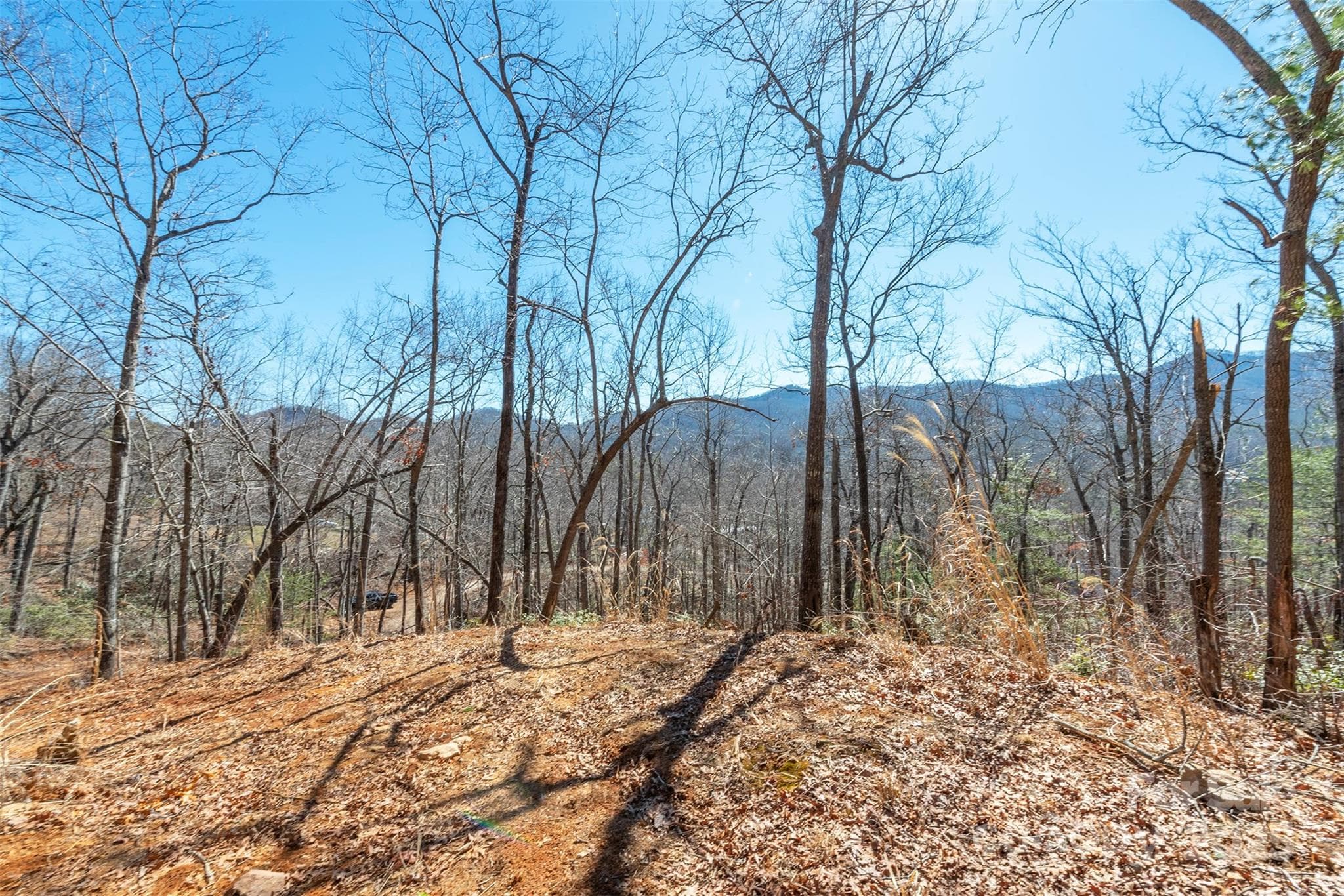 South View - Black Mountain