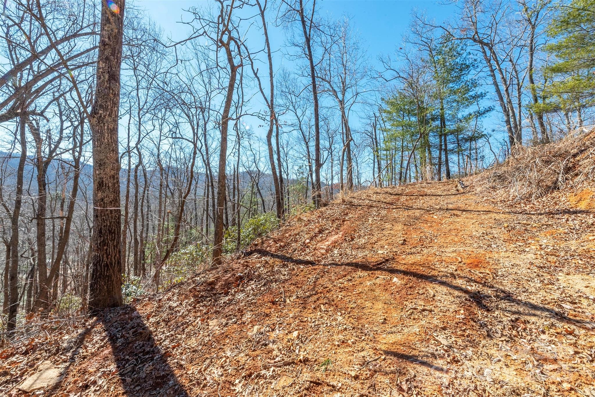 Graded driveway and View - Black Mountain