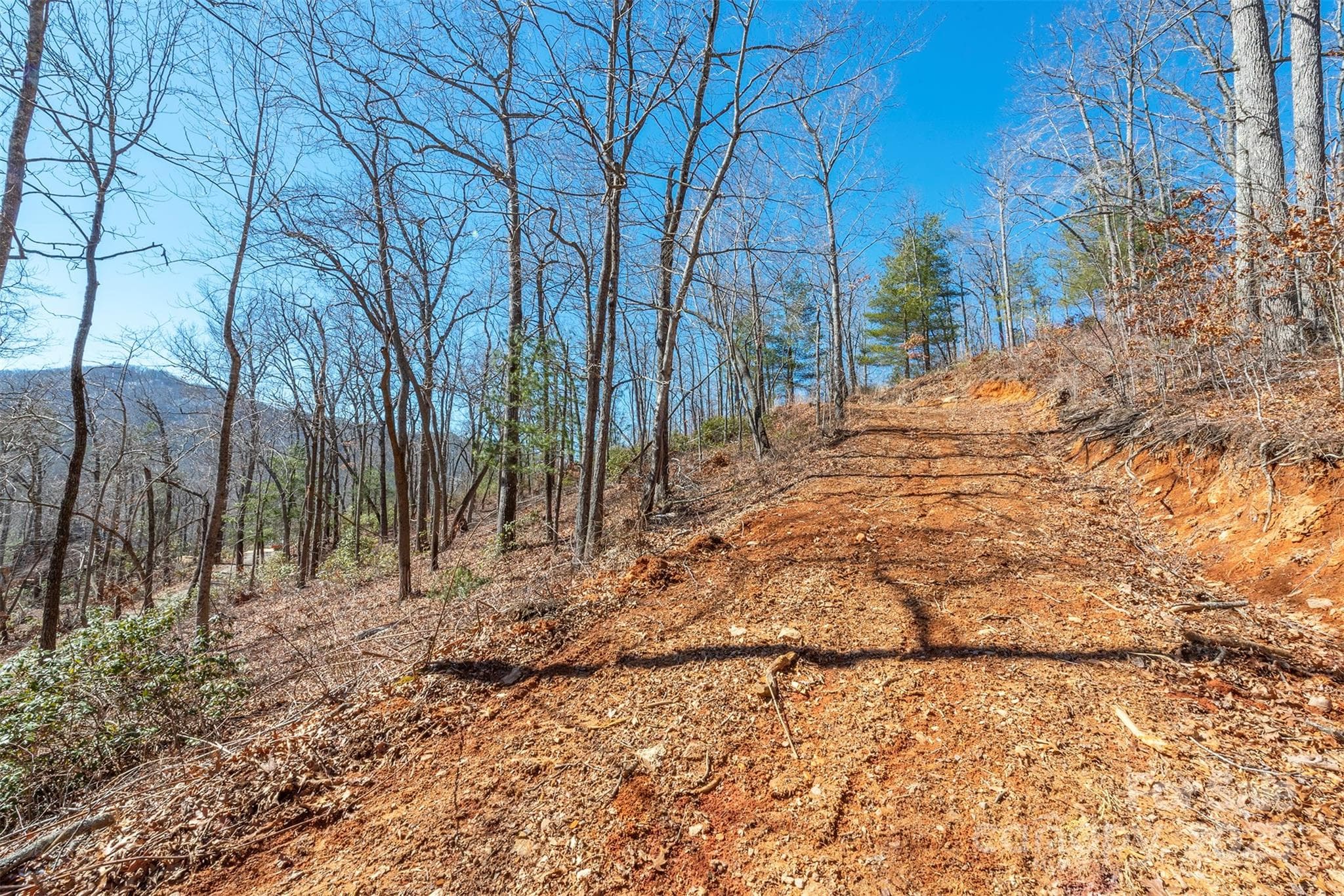 Graded Driveway - Black Mountain
