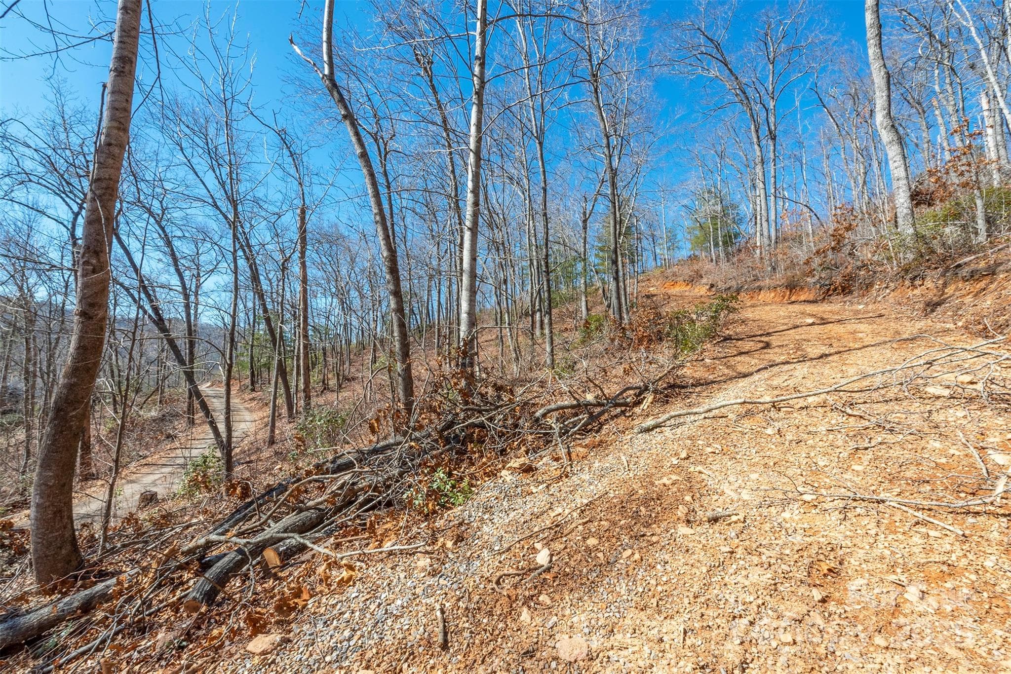Graded Driveway with Bartram Way in Background - Black Mountain