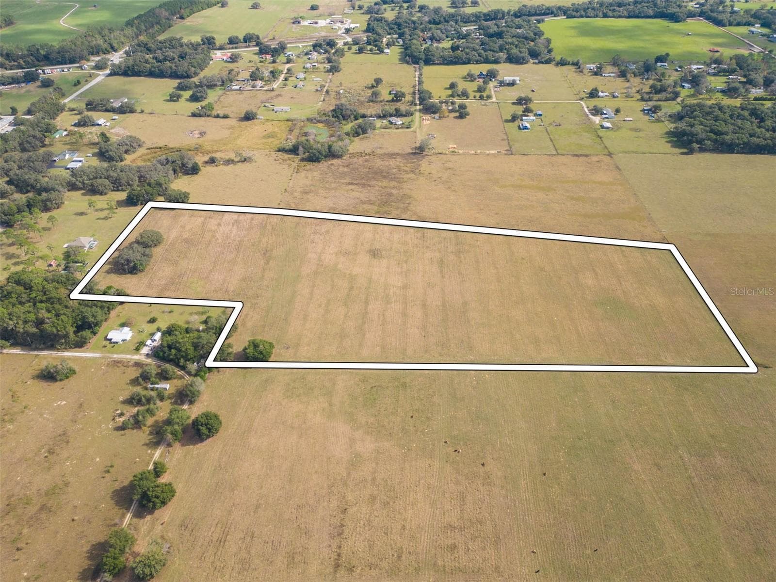 Land at BUR MAC RD, DADE CITY, photo 6 of 17