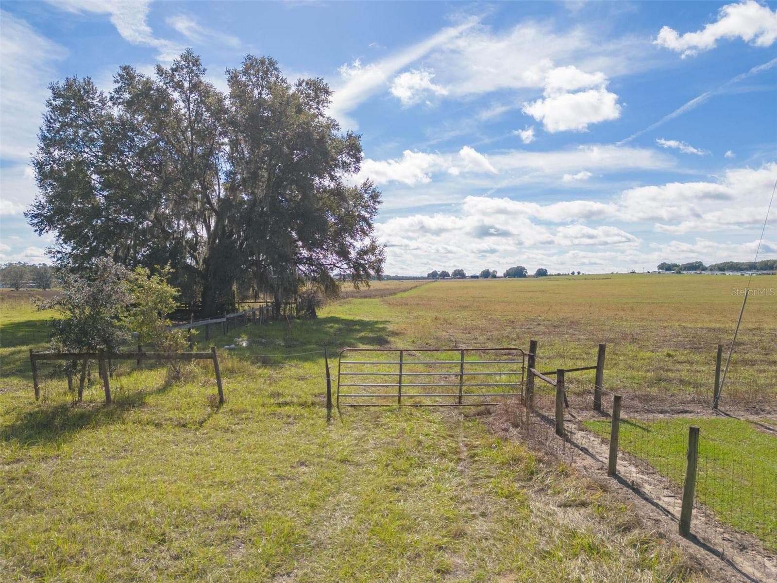 Land at BUR MAC RD, DADE CITY, photo 16 of 17