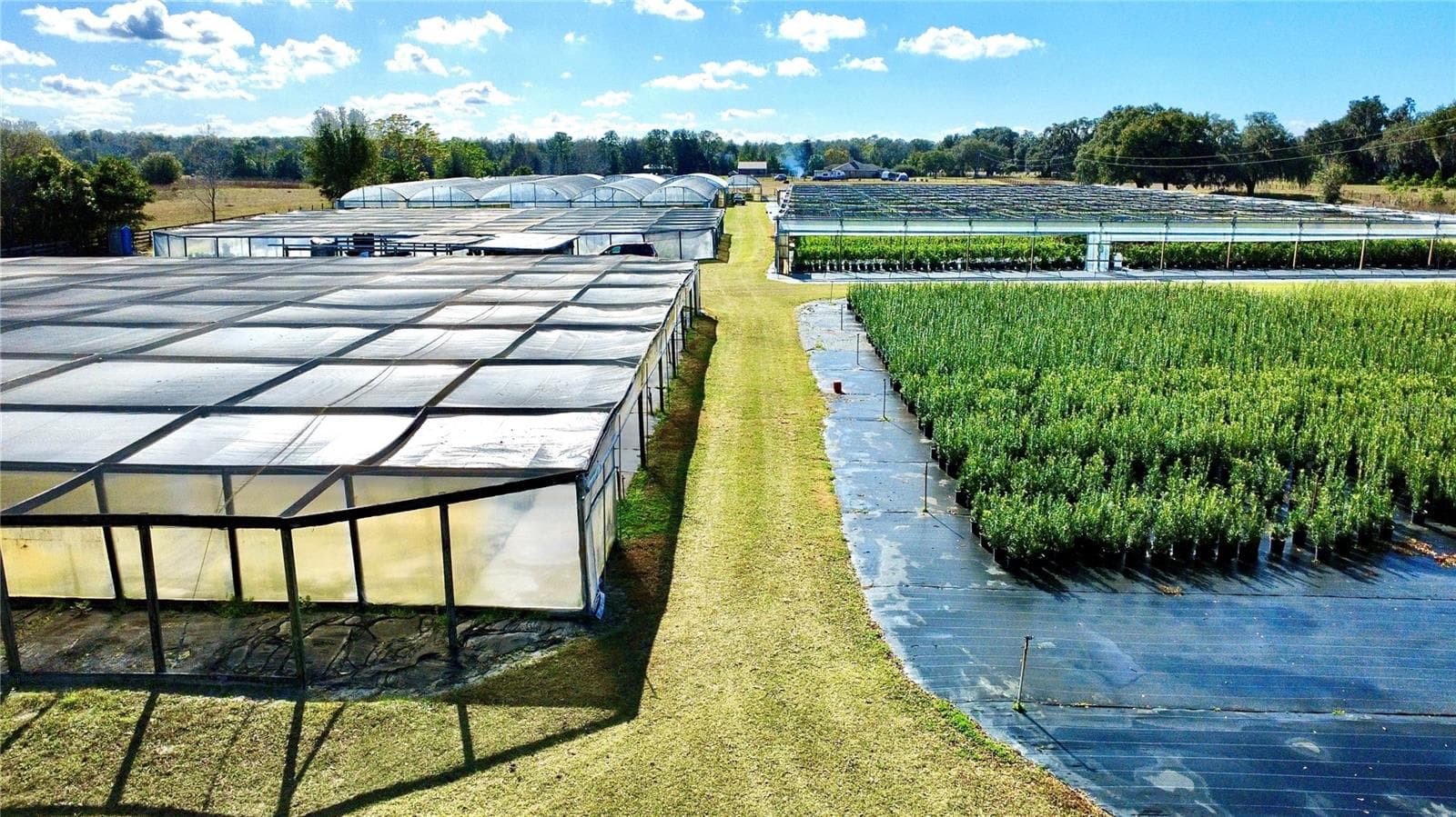 Agriculture at 23010 WOLF BRANCH RD, SORRENTO, photo 14 of 36