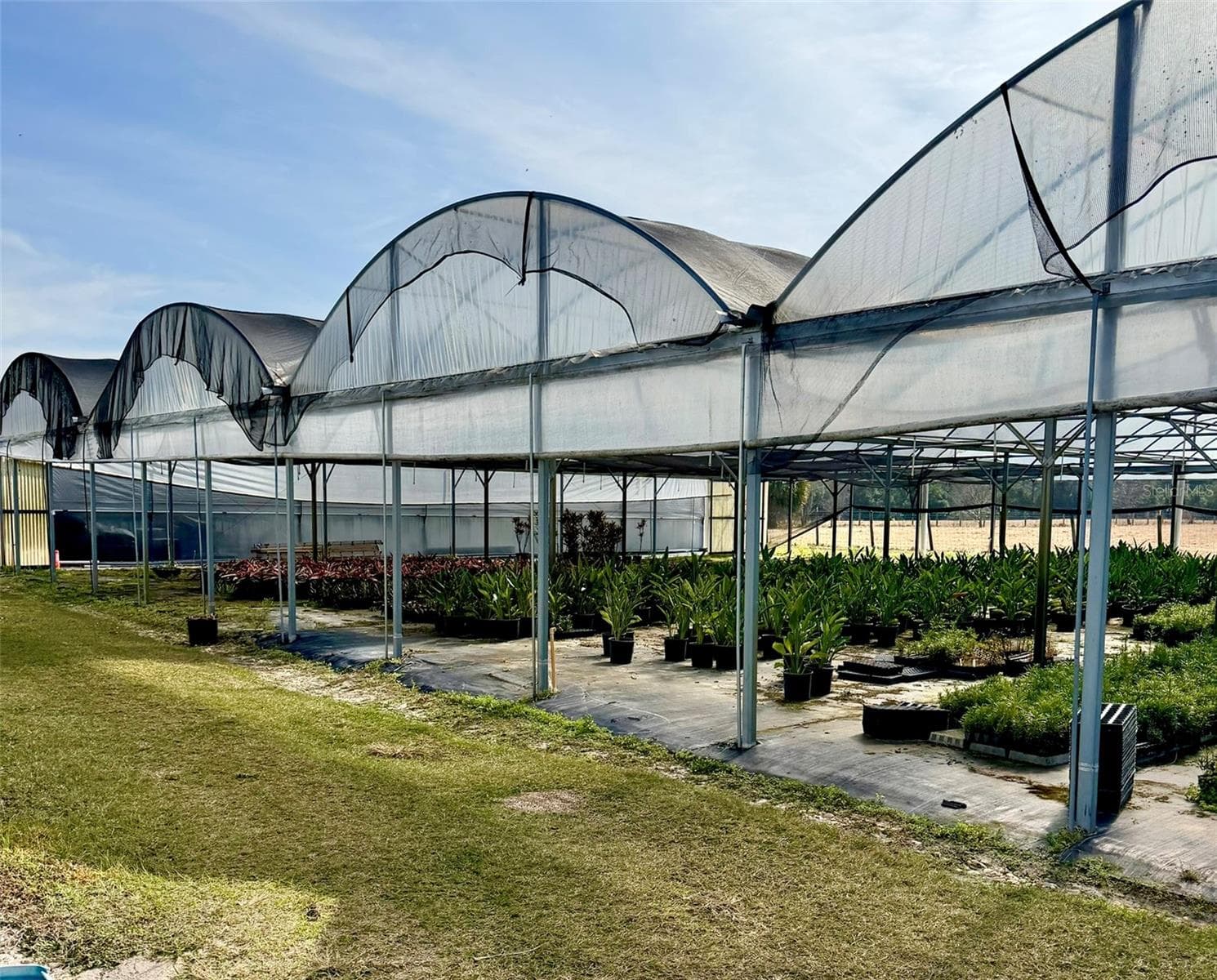 Agriculture at 23010 WOLF BRANCH RD, SORRENTO, photo 15 of 36