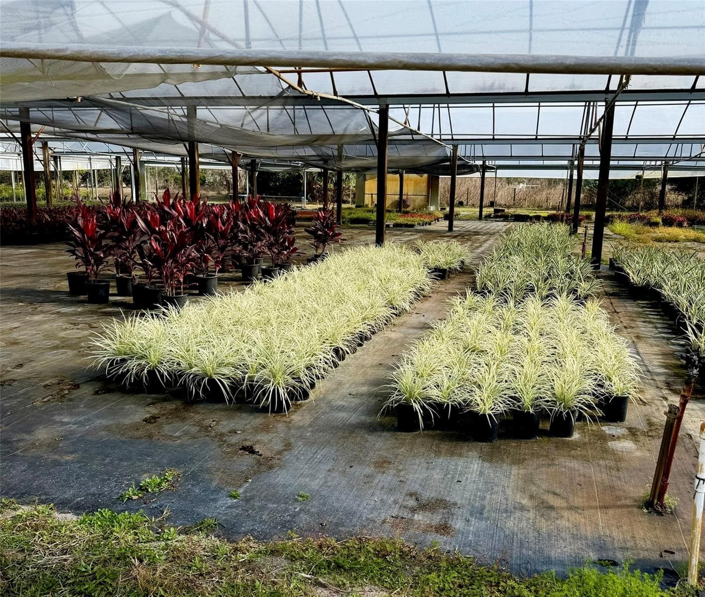 Agriculture at 23010 WOLF BRANCH RD, SORRENTO, photo 16 of 36