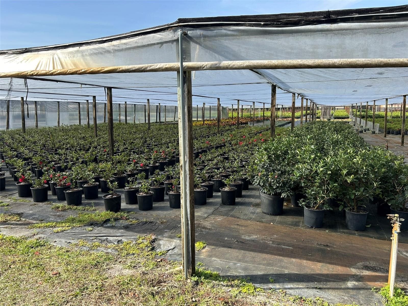 Agriculture at 23010 WOLF BRANCH RD, SORRENTO, photo 21 of 36