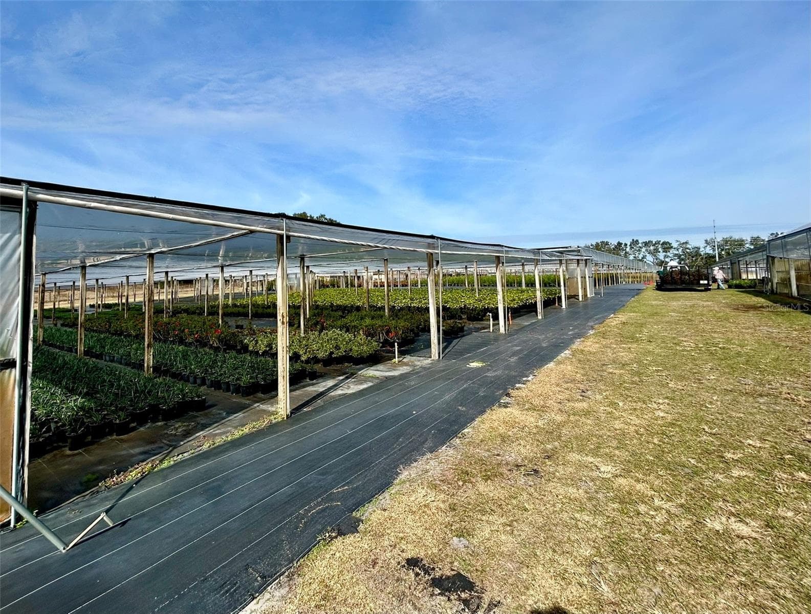 Agriculture at 23010 WOLF BRANCH RD, SORRENTO, photo 27 of 36
