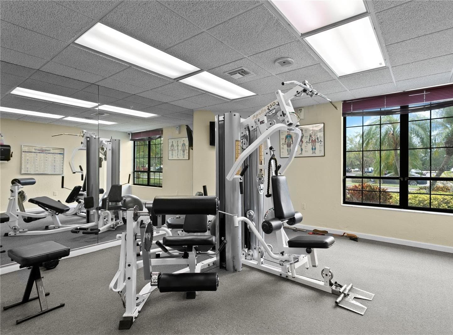 Condominium at 14810 RUE DE BAYONNE #7G, CLEARWATER, photo 52 of 56