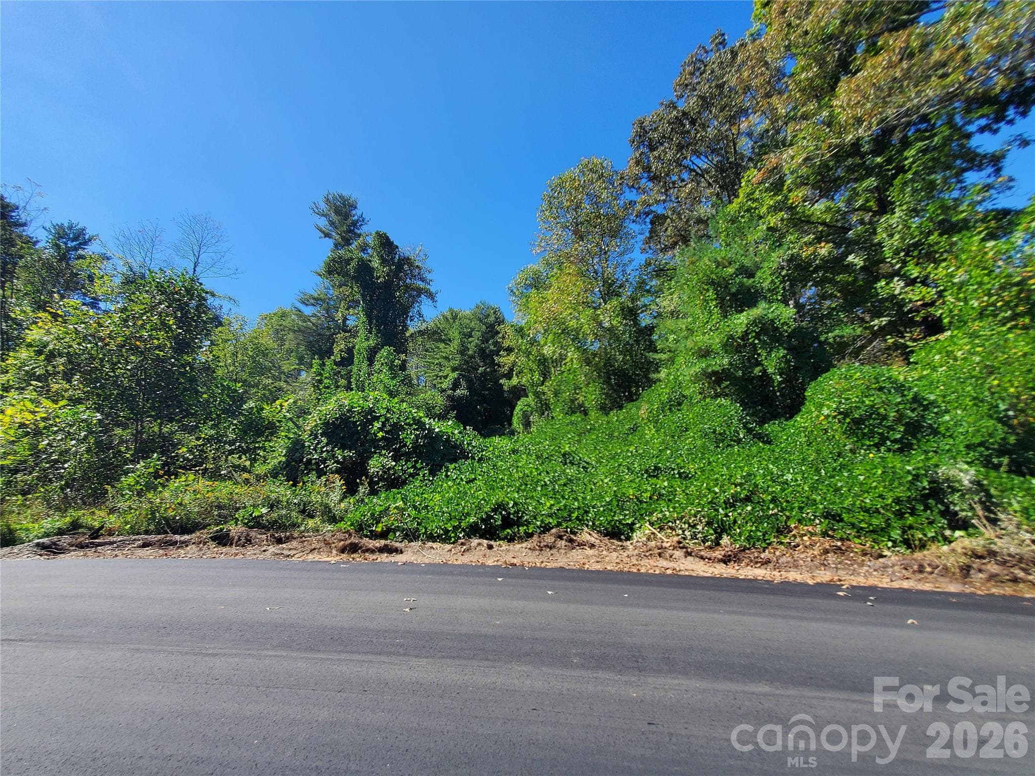 View of Lot - 62 Oscelake Way, Hendersonville