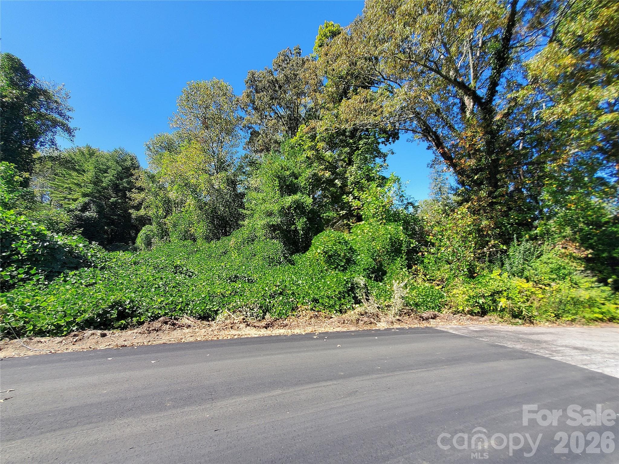 View of Lot - 62 Oscelake Way, Hendersonville