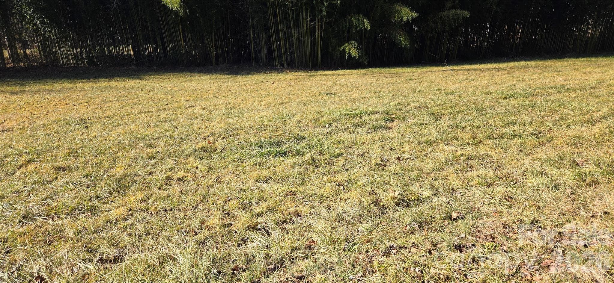 Lot at Waynesville, photo 3 of 30