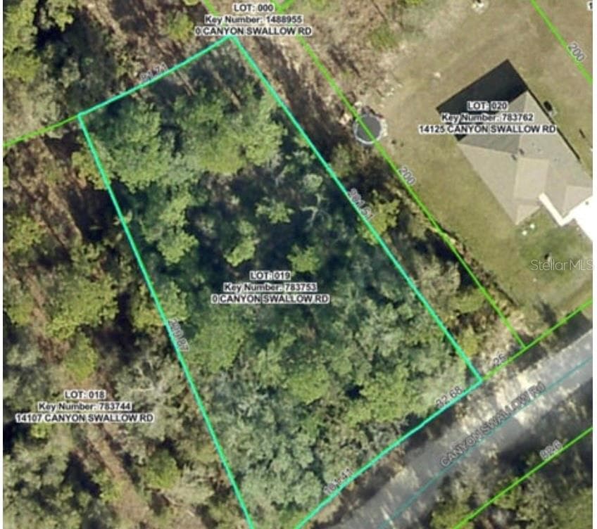 Lot 19 CANYON SWALLOW RD