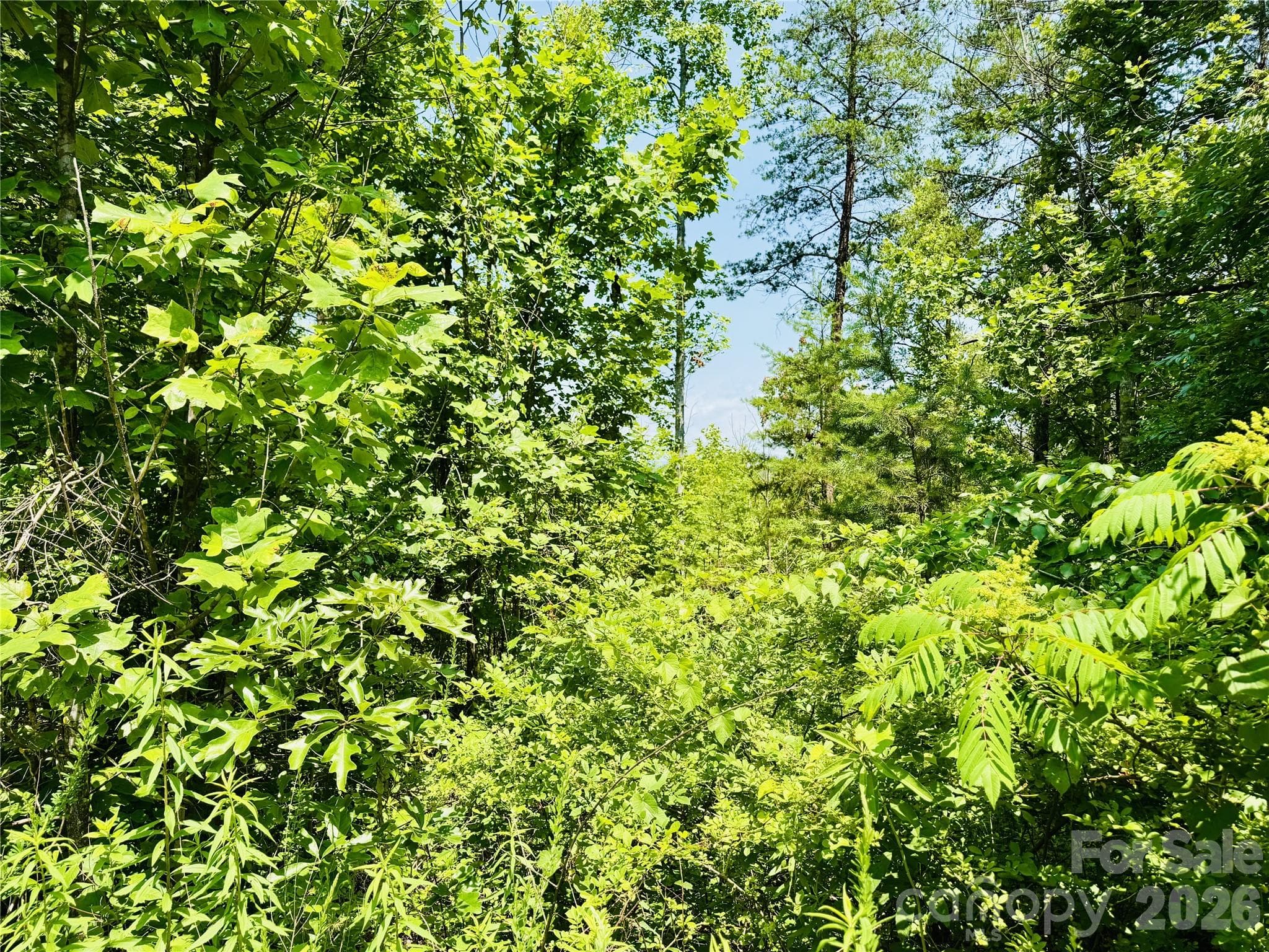 Lot at Lenoir, photo 5 of 44