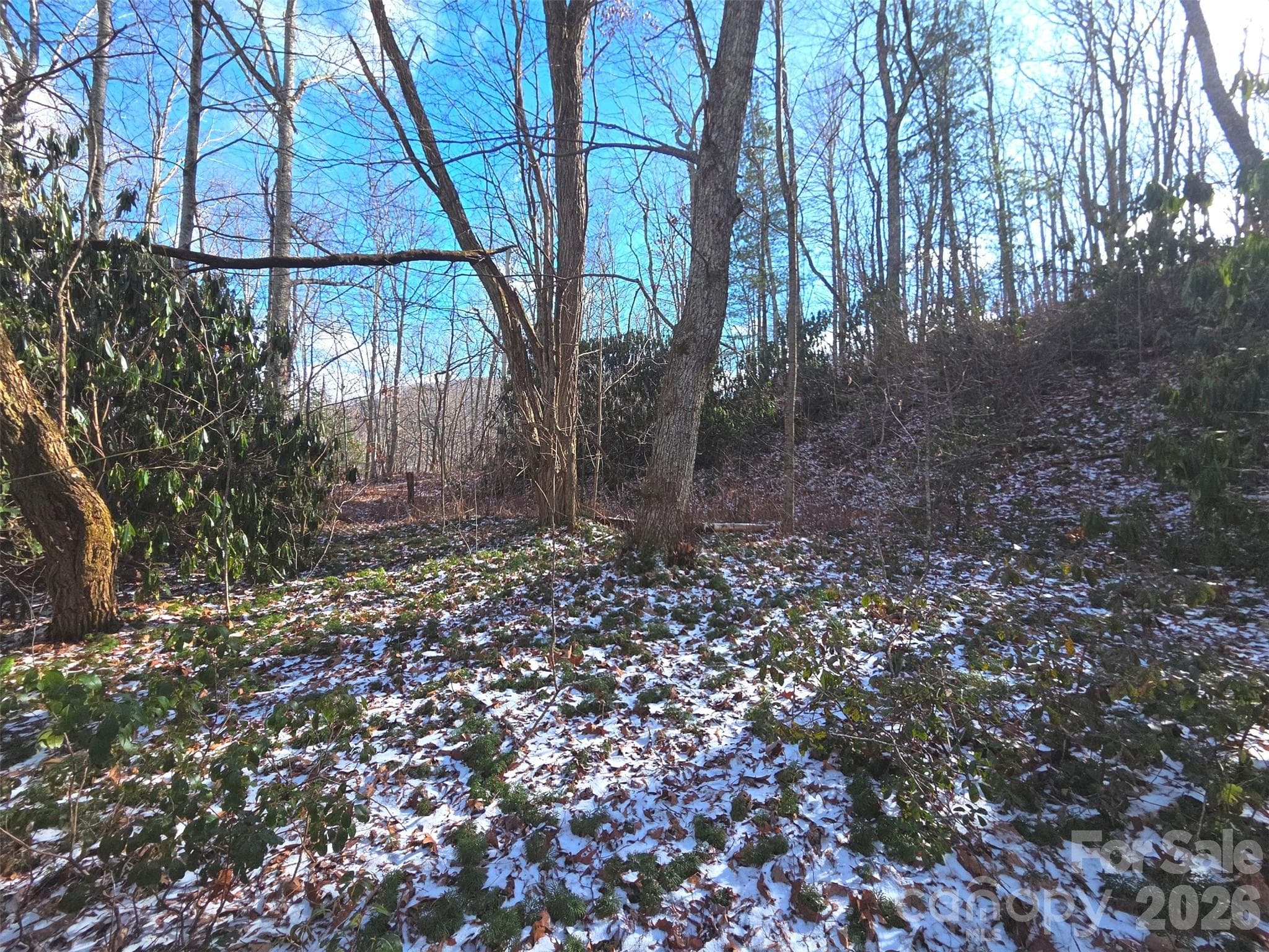 Lot at Maggie Valley, photo 9 of 27