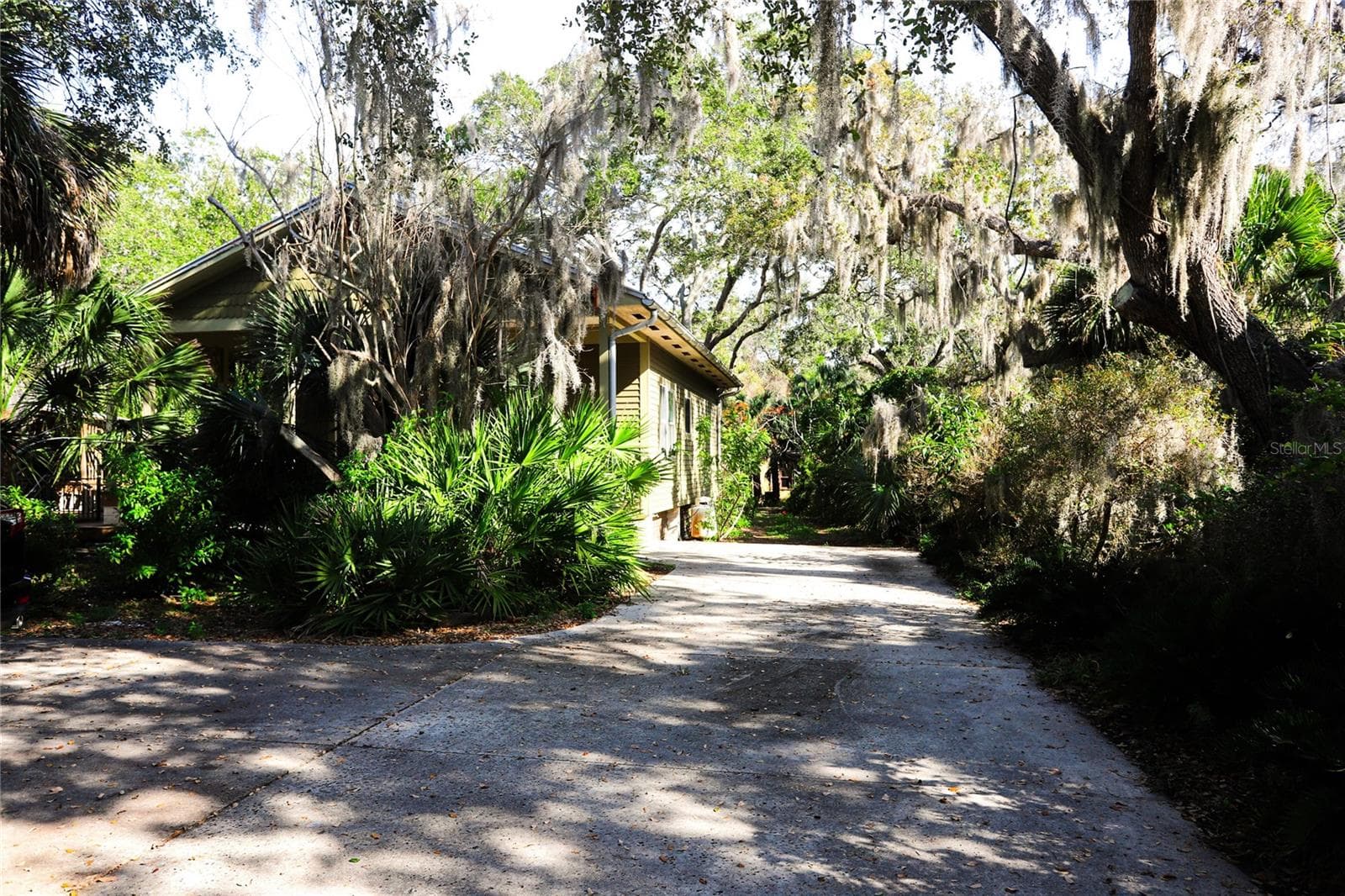 272 B Side Yard/Drive - 272 ORANGE ST #A-B, PALM HARBOR