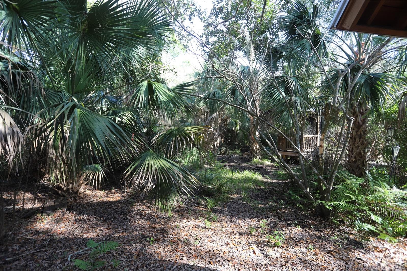 Rear yard - 272 ORANGE ST #A-B, PALM HARBOR