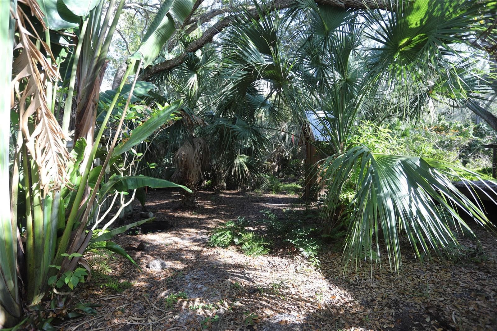 Rear Yard - 272 ORANGE ST #A-B, PALM HARBOR