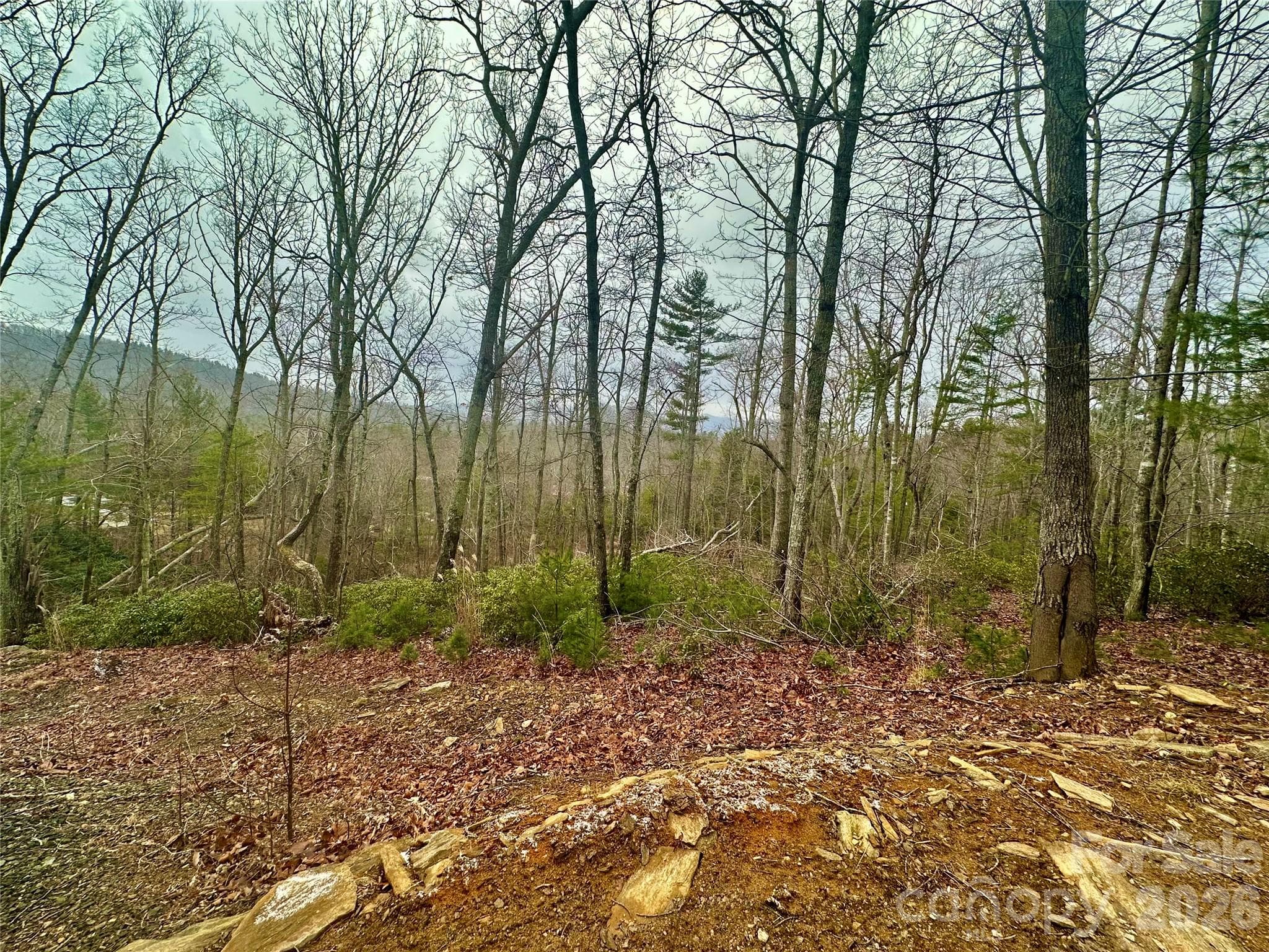 000 Orchard View Trail