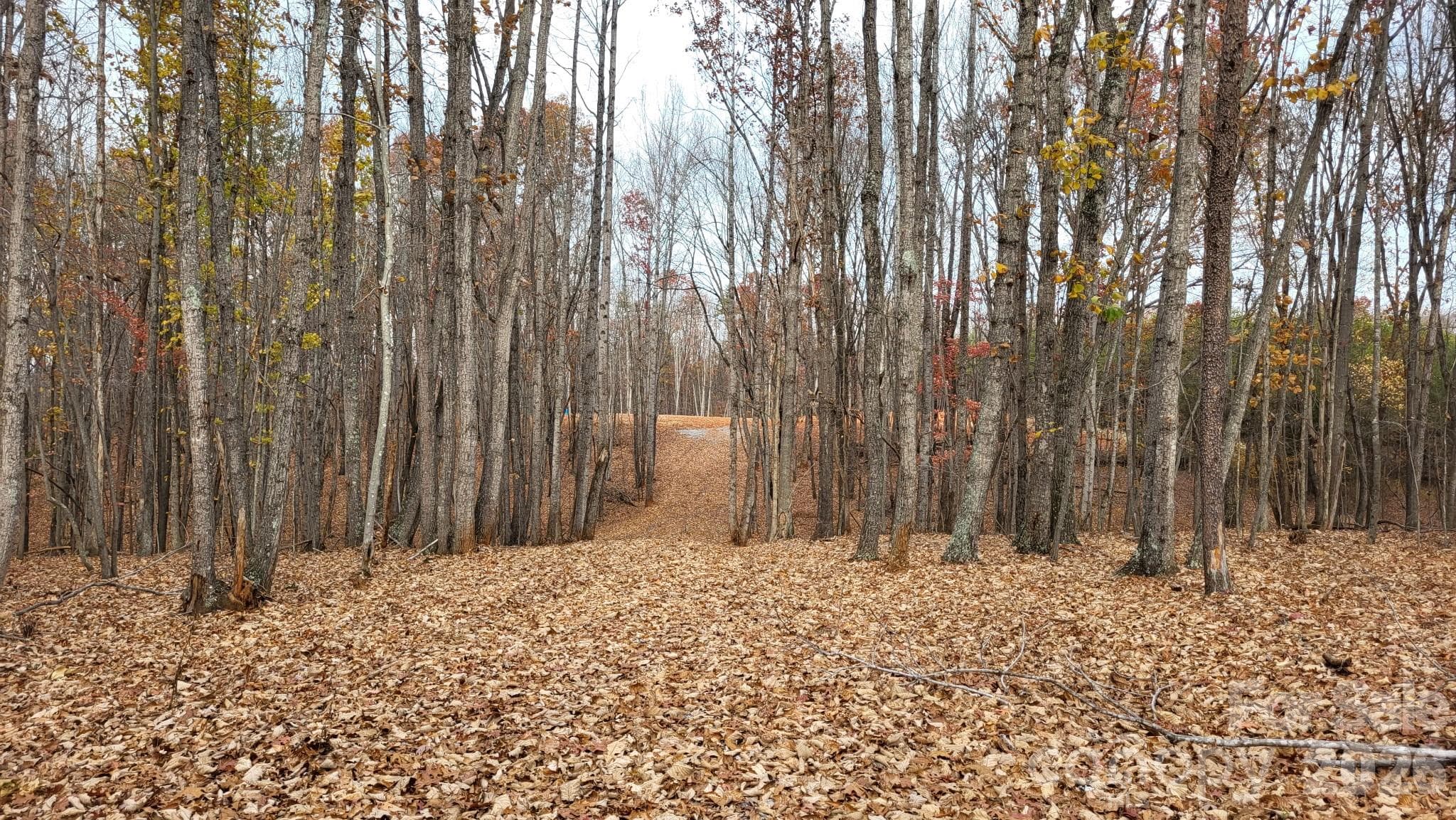 Acreage at 1056 Stephens Trail Road, Sandy Ridge, photo 3 of 36
