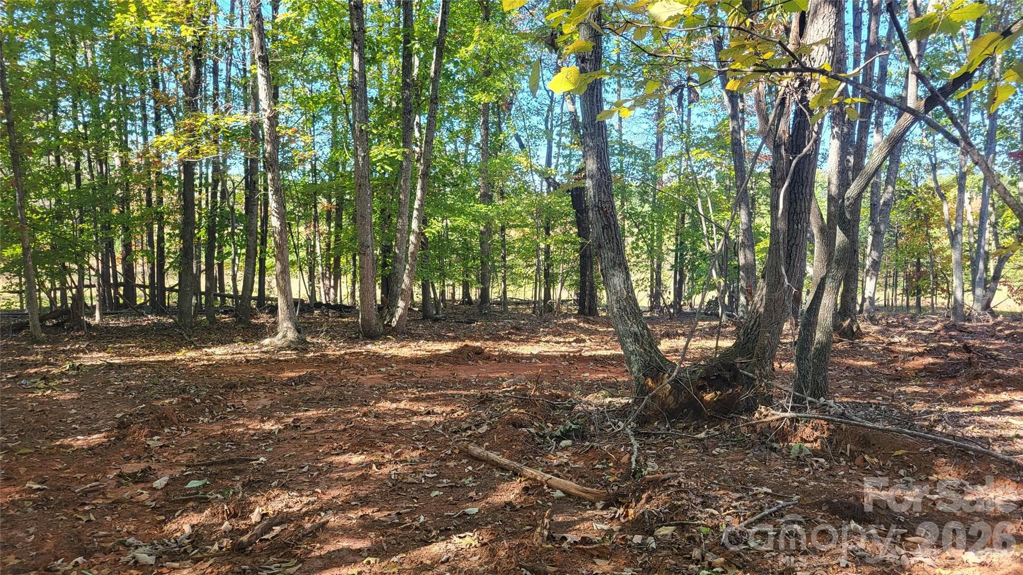 Acreage at 1056 Stephens Trail Road, Sandy Ridge, photo 5 of 36