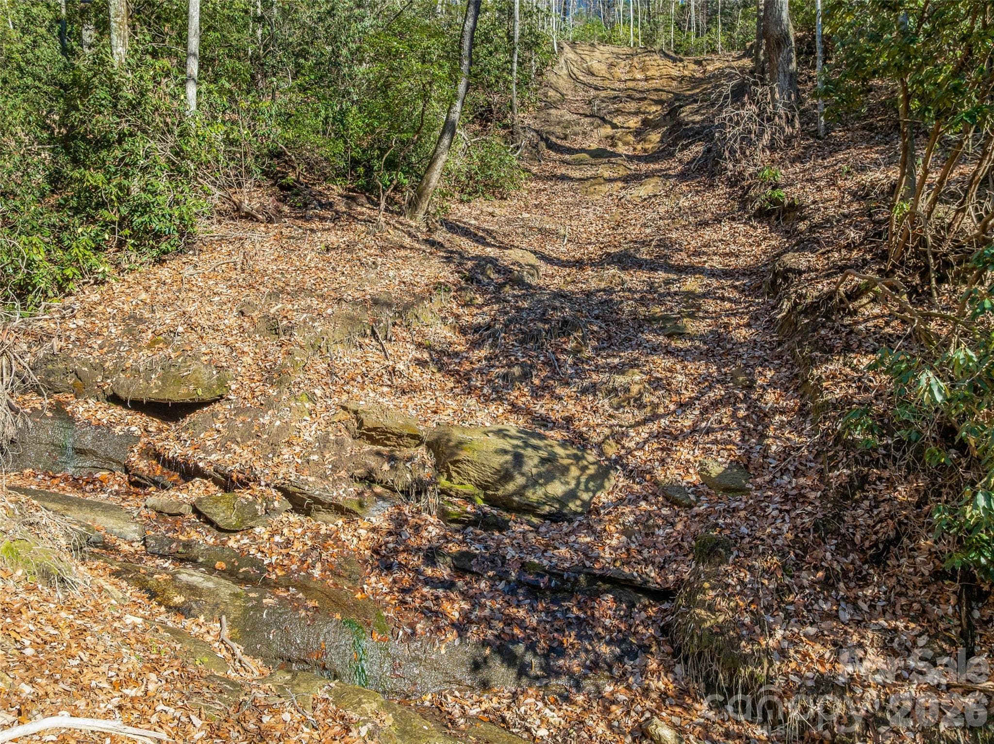 Acreage at 9999 Coy-Evie Lane, Laurel Park, photo 10 of 20
