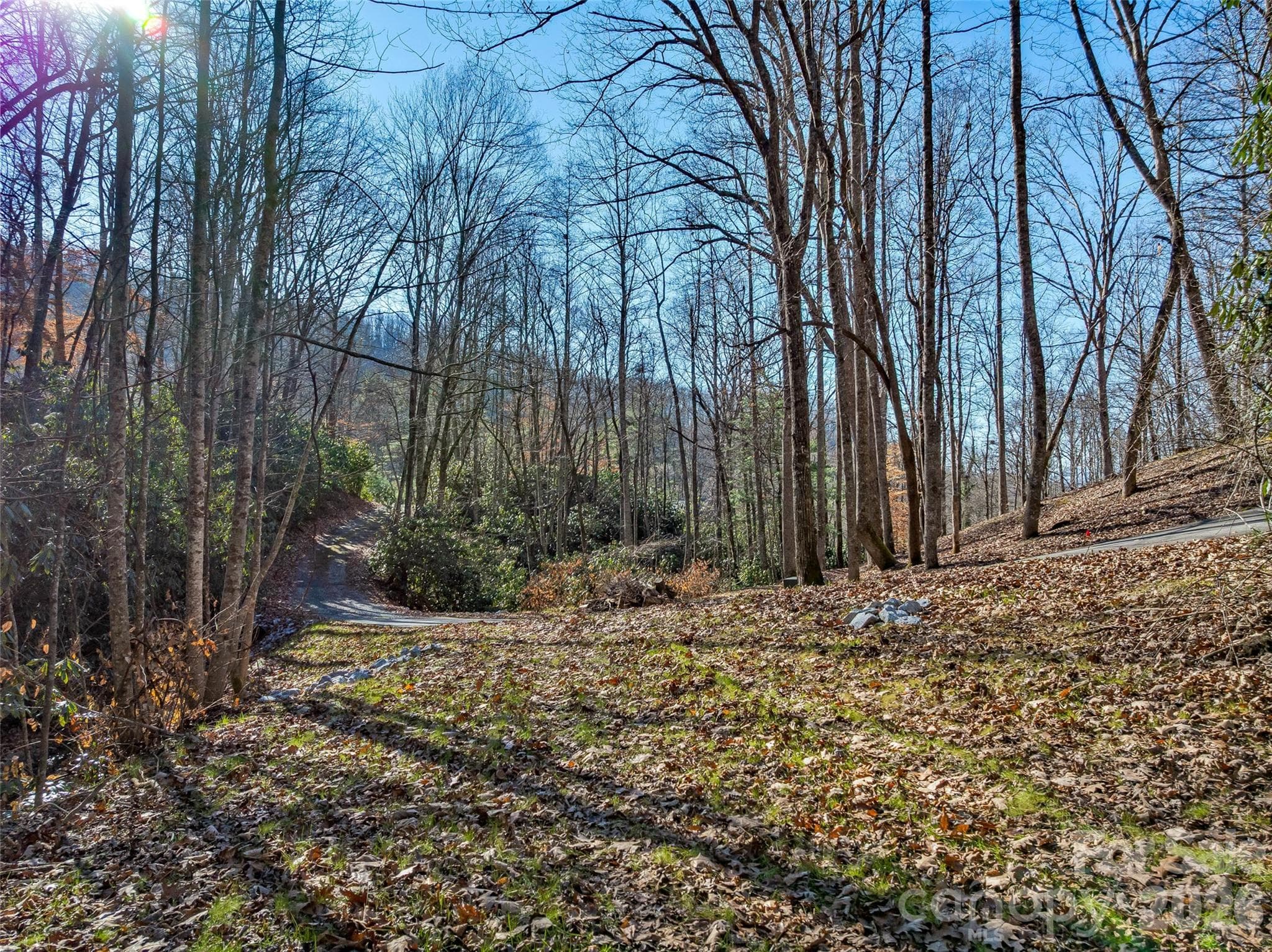 Acreage at 9999 Coy-Evie Lane, Laurel Park, photo 11 of 20