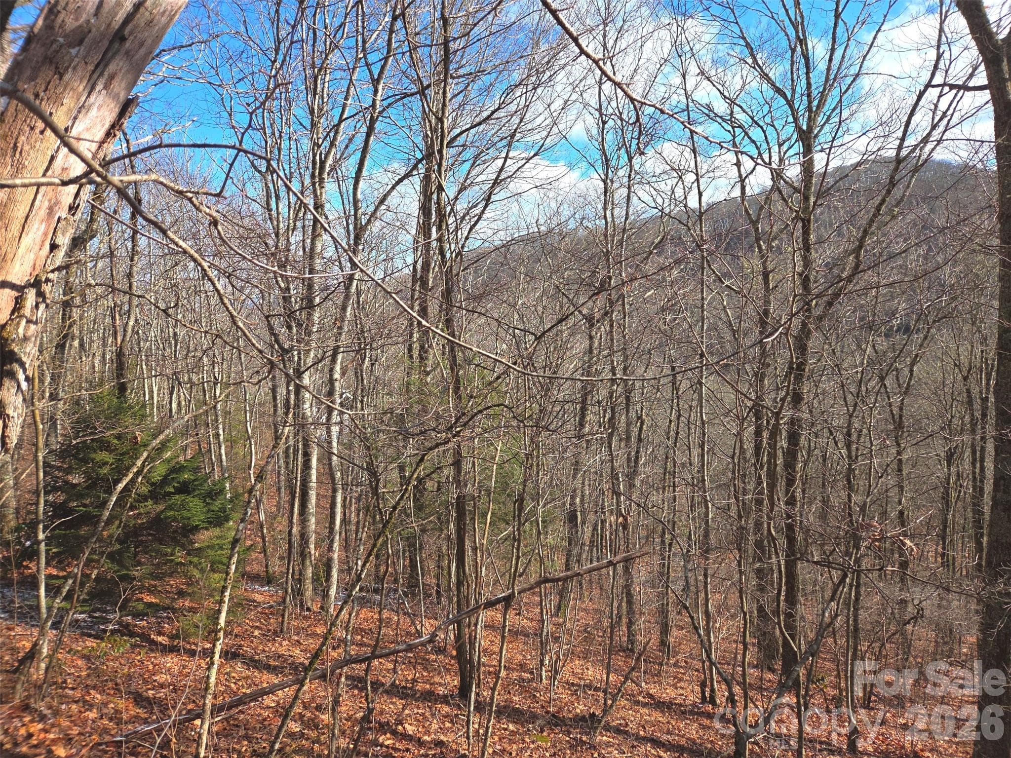 Lot at 220 Sky Drive, Maggie Valley, photo 3 of 19