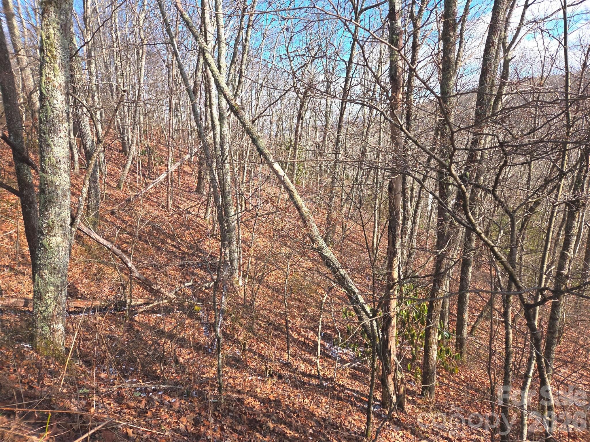 Lot at 220 Sky Drive, Maggie Valley, photo 10 of 19