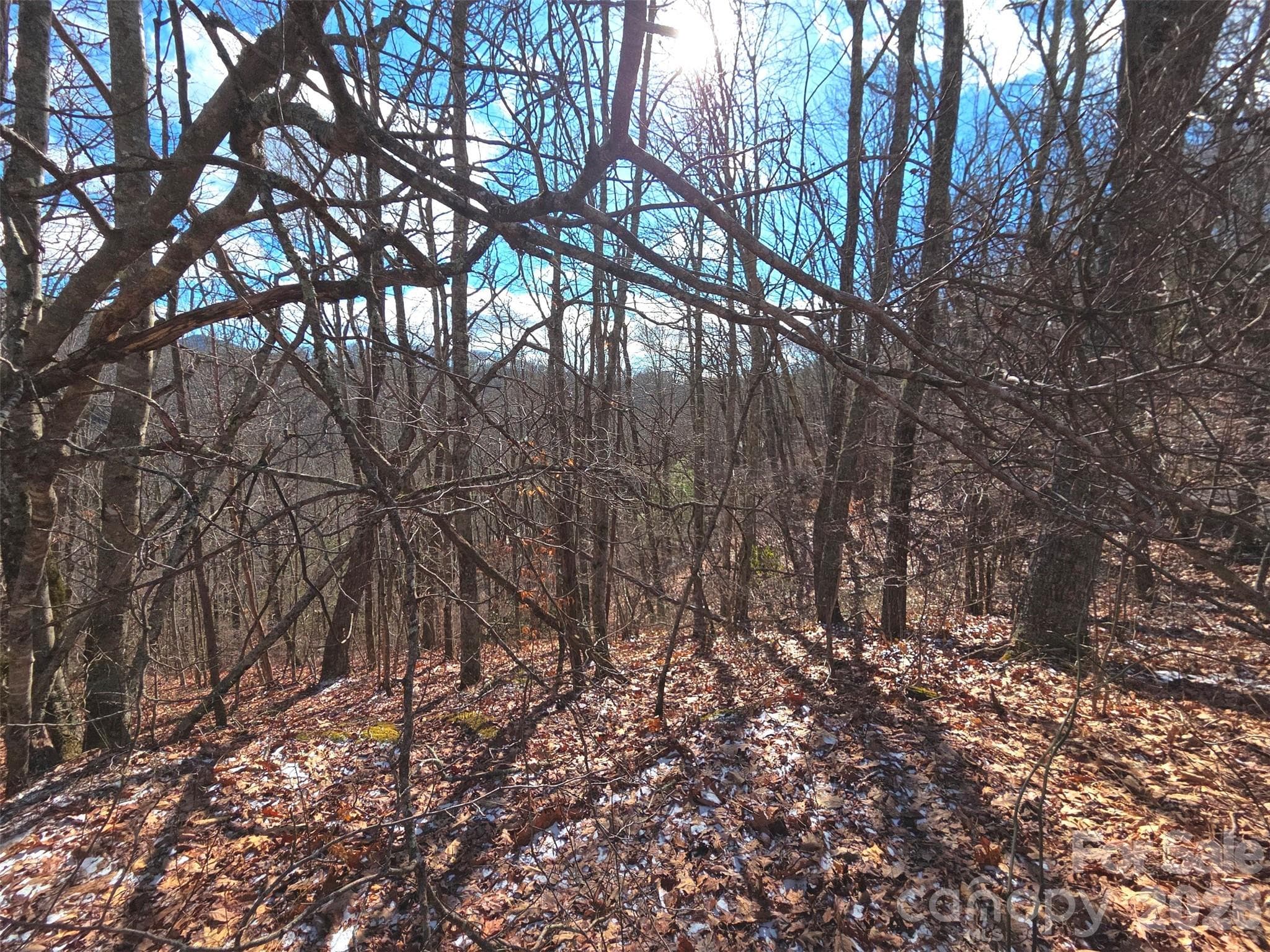 Lot at 220 Sky Drive, Maggie Valley, photo 4 of 19