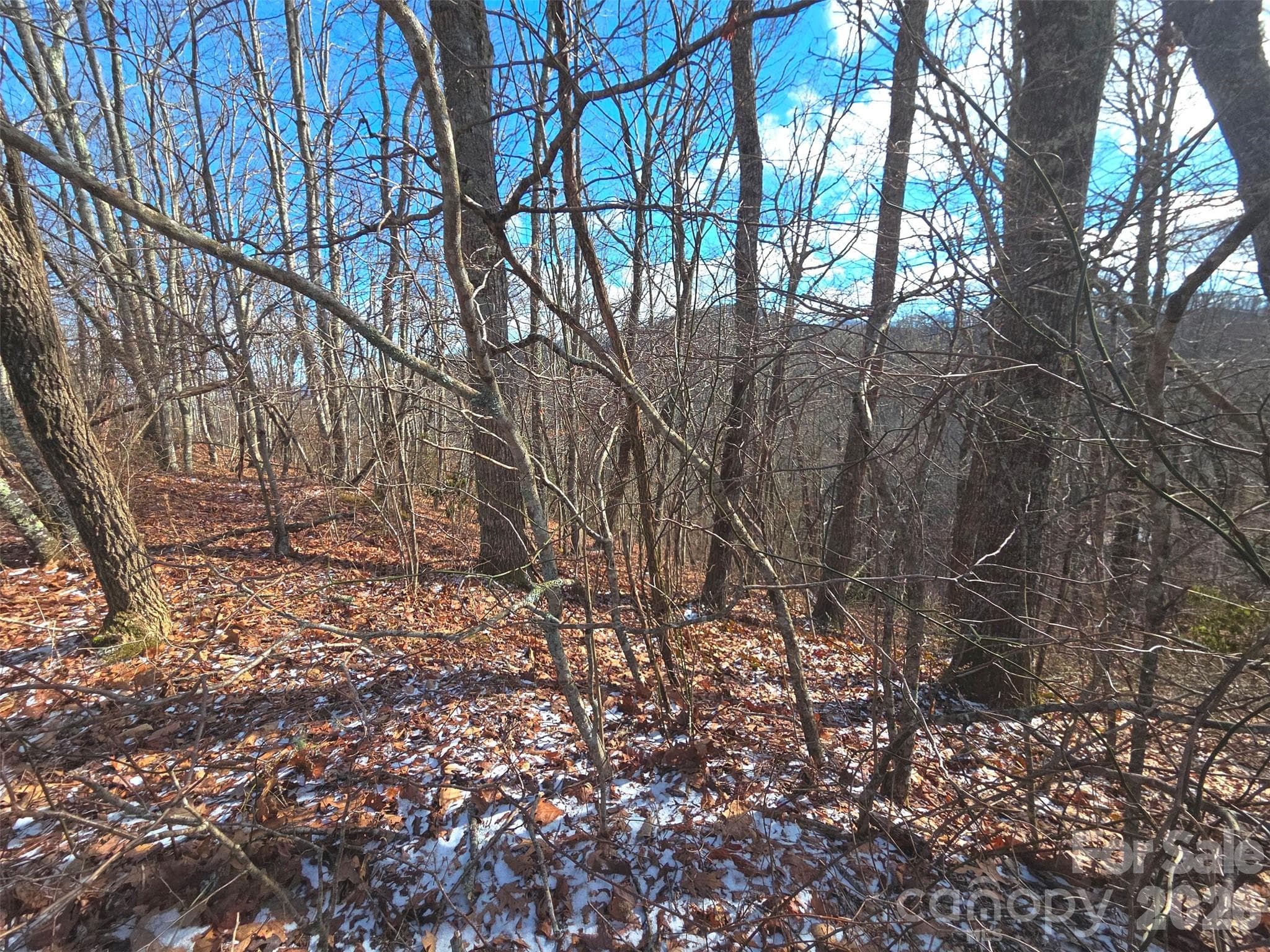 Lot at 220 Sky Drive, Maggie Valley, photo 8 of 19
