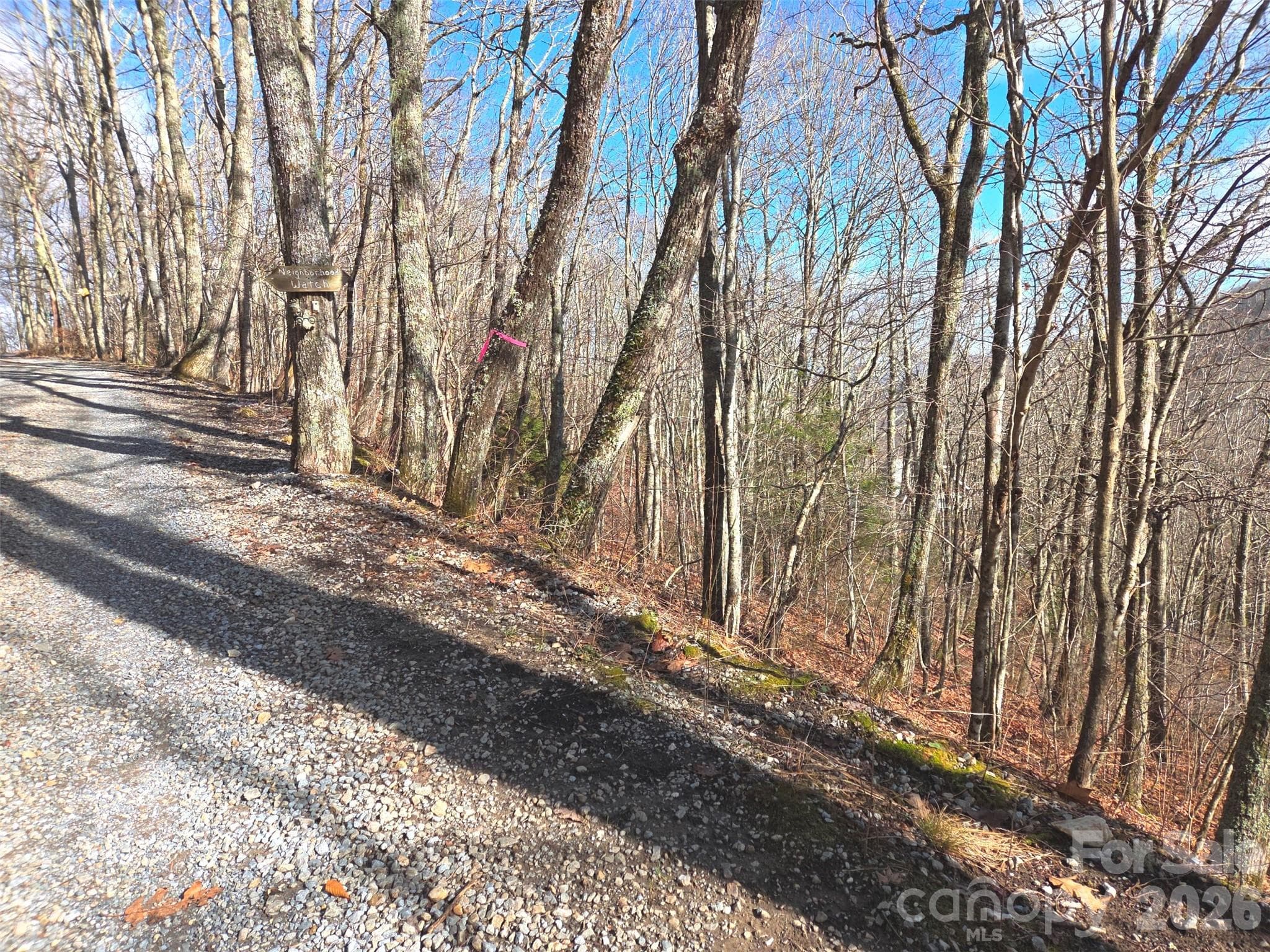 Lot at 220 Sky Drive, Maggie Valley, photo 17 of 19