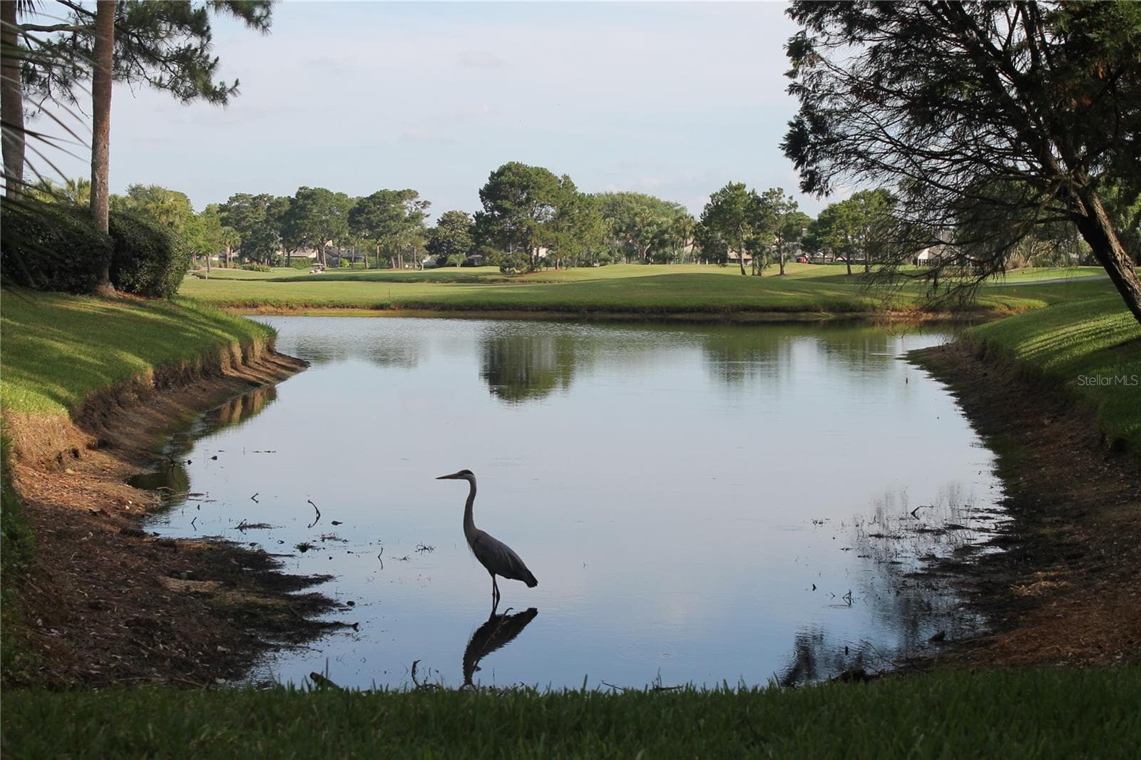 Land at 15447 ARON CIR, PORT CHARLOTTE, photo 33 of 100