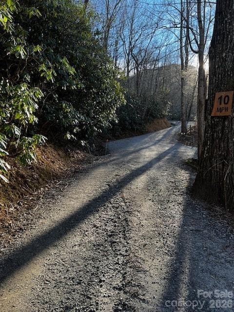 Acreage at Black Mountain, photo 2 of 5