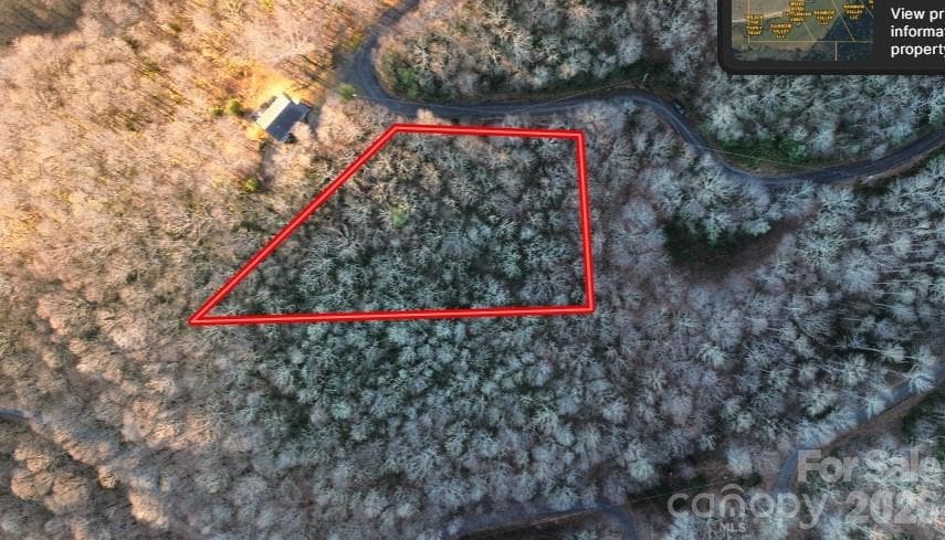 Approximate property lines - Waynesville