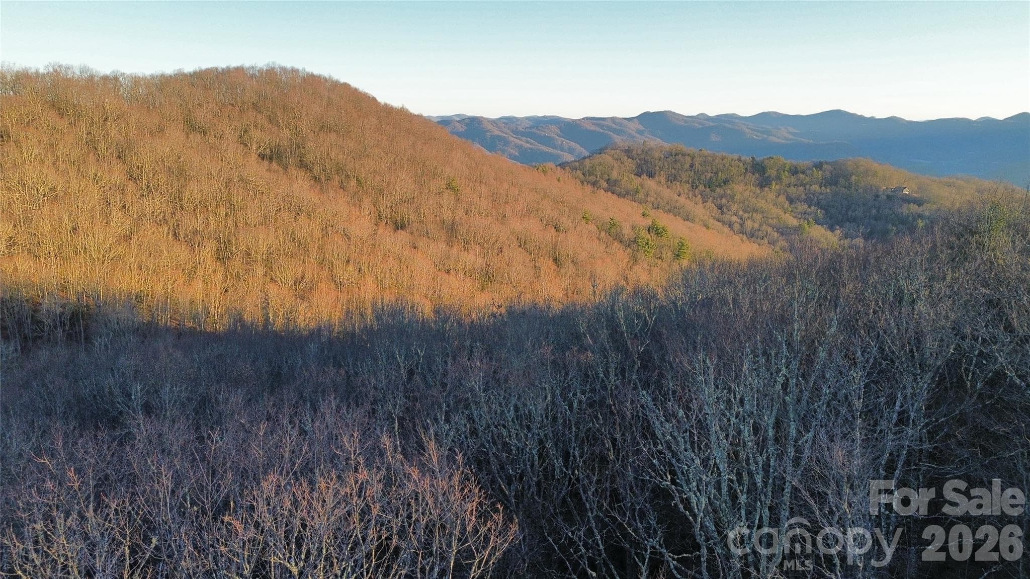 View from tree line - Waynesville