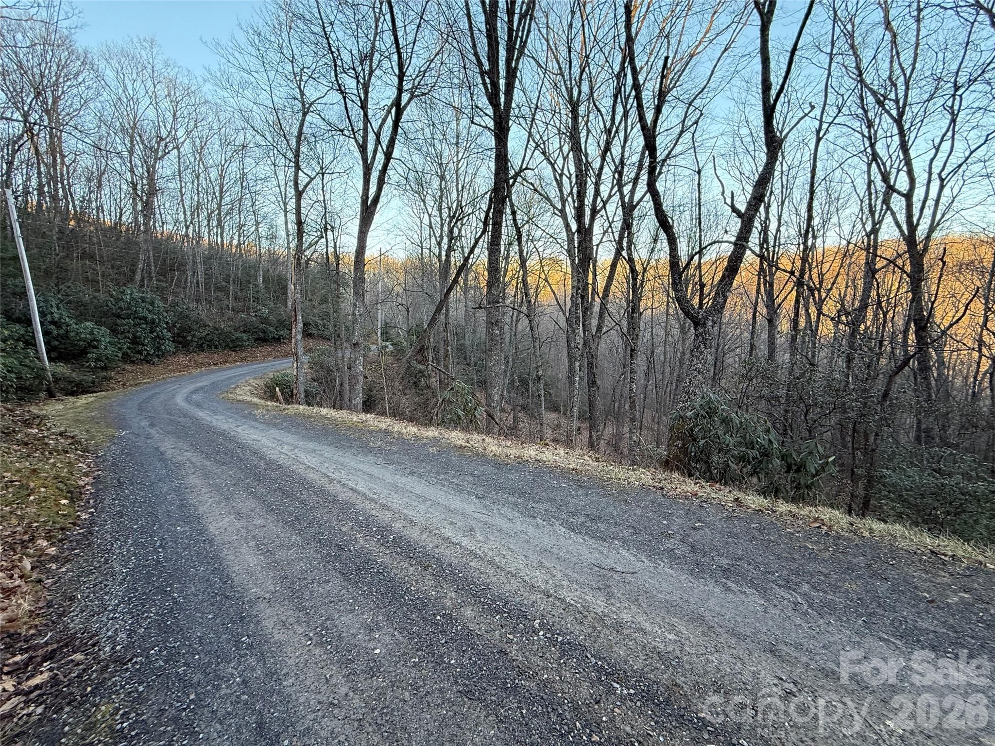 Road in front of property - Waynesville