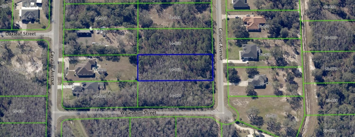 Land at 0 CORONET AVE, ORLANDO, photo 9 of 11