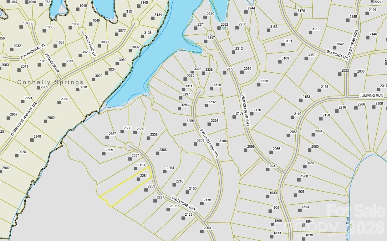 GIS map - 2281 Crestone Way, Connelly Springs