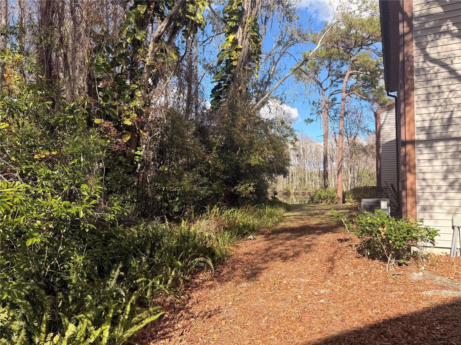 Path to backyard pond - 12155 ENVIRONMENTAL DR #6, NEW PORT RICHEY