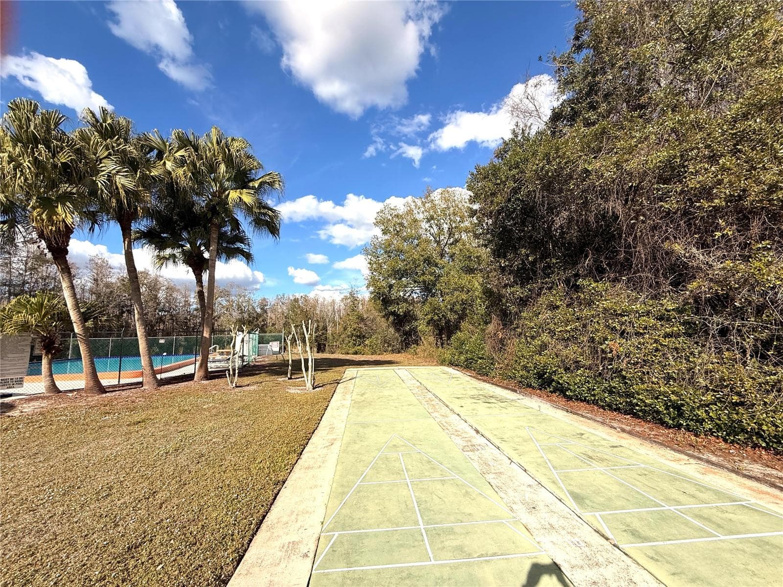 shuffle board - 12155 ENVIRONMENTAL DR #6, NEW PORT RICHEY