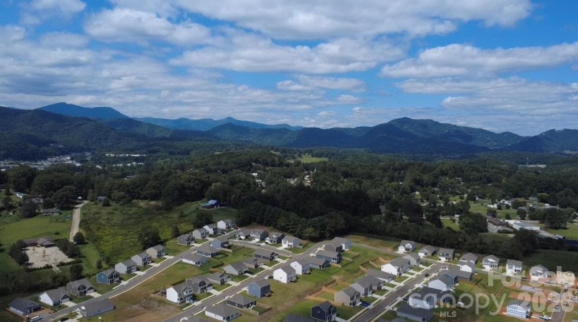 Community overview - Waynesville