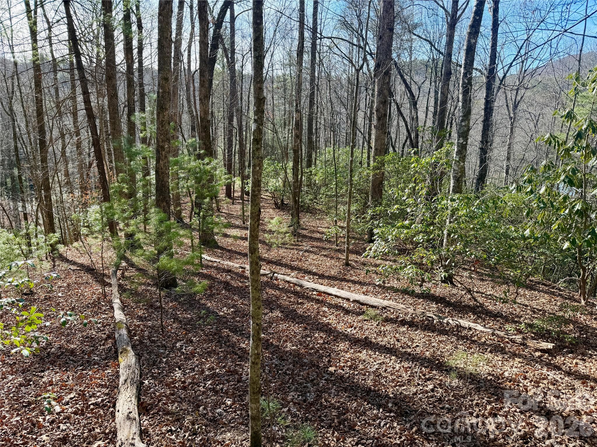 Lot at Brevard, photo 2 of 14