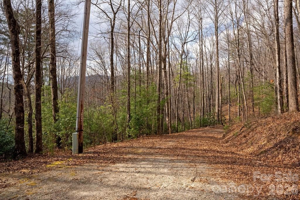 Lot at Brevard, photo 3 of 14