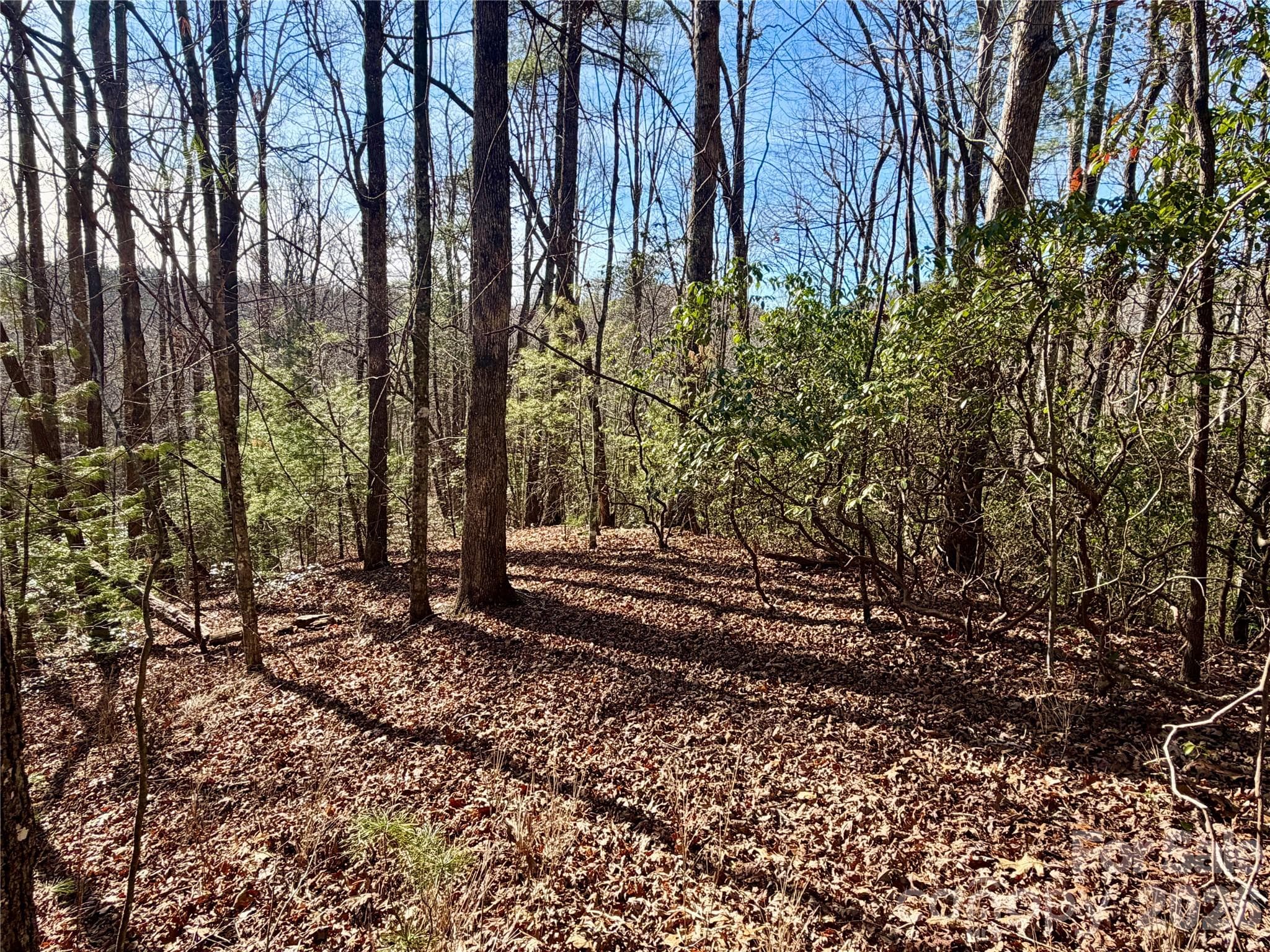 Lot at Brevard, photo 5 of 14