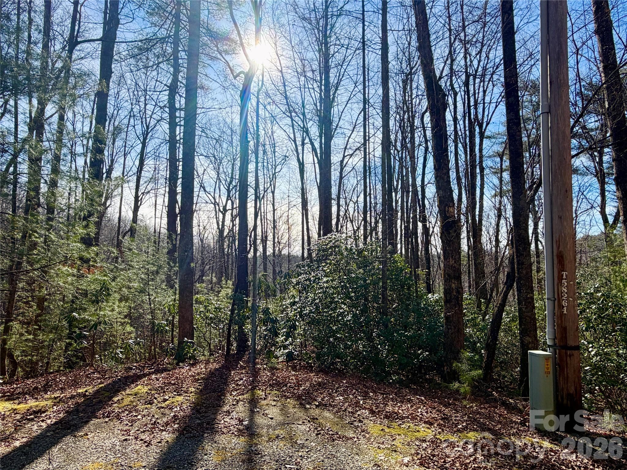 Lot at Brevard, photo 10 of 14