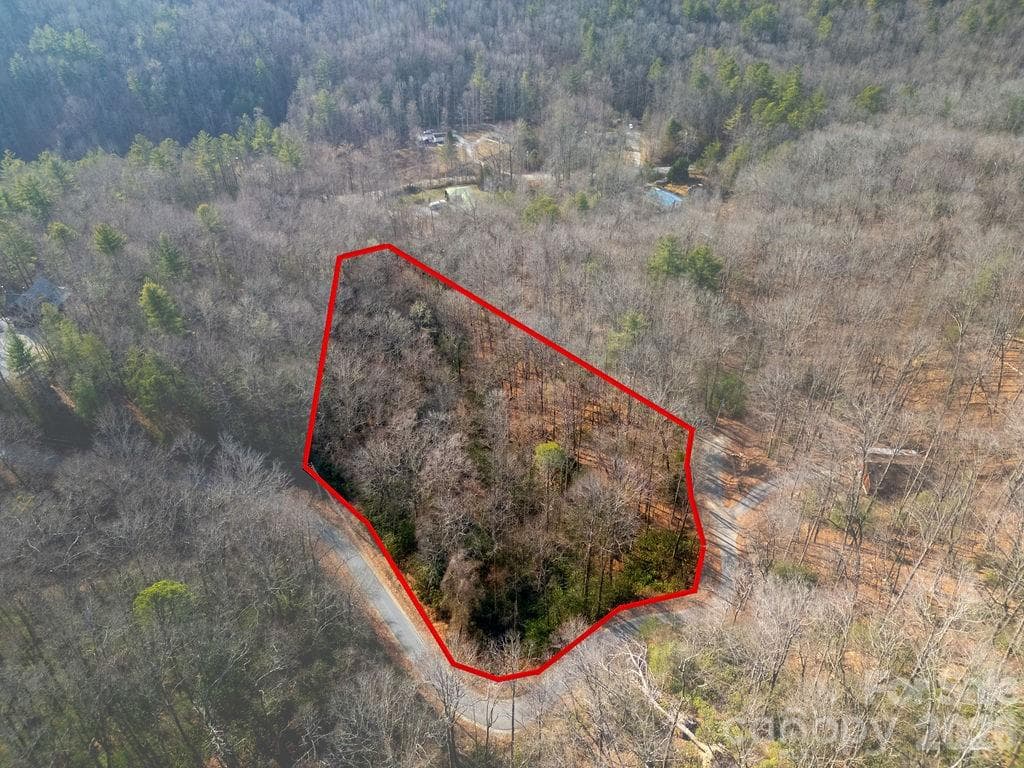 Lot at Brevard, photo 11 of 14