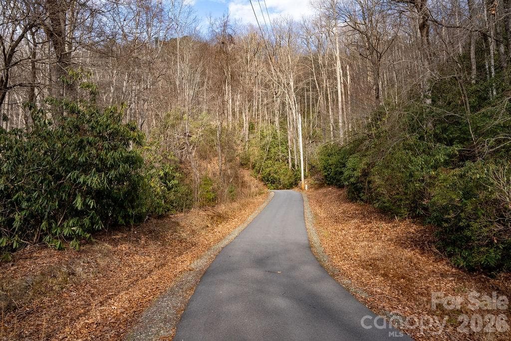 Lot at Brevard, photo 13 of 14