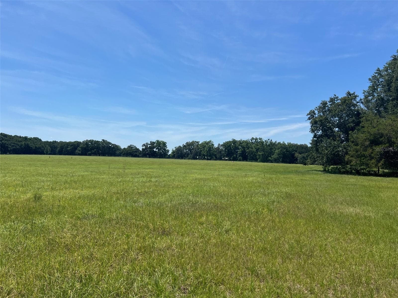 Land at 00 NW 165TH AVE, HIGH SPRINGS, photo 4 of 6