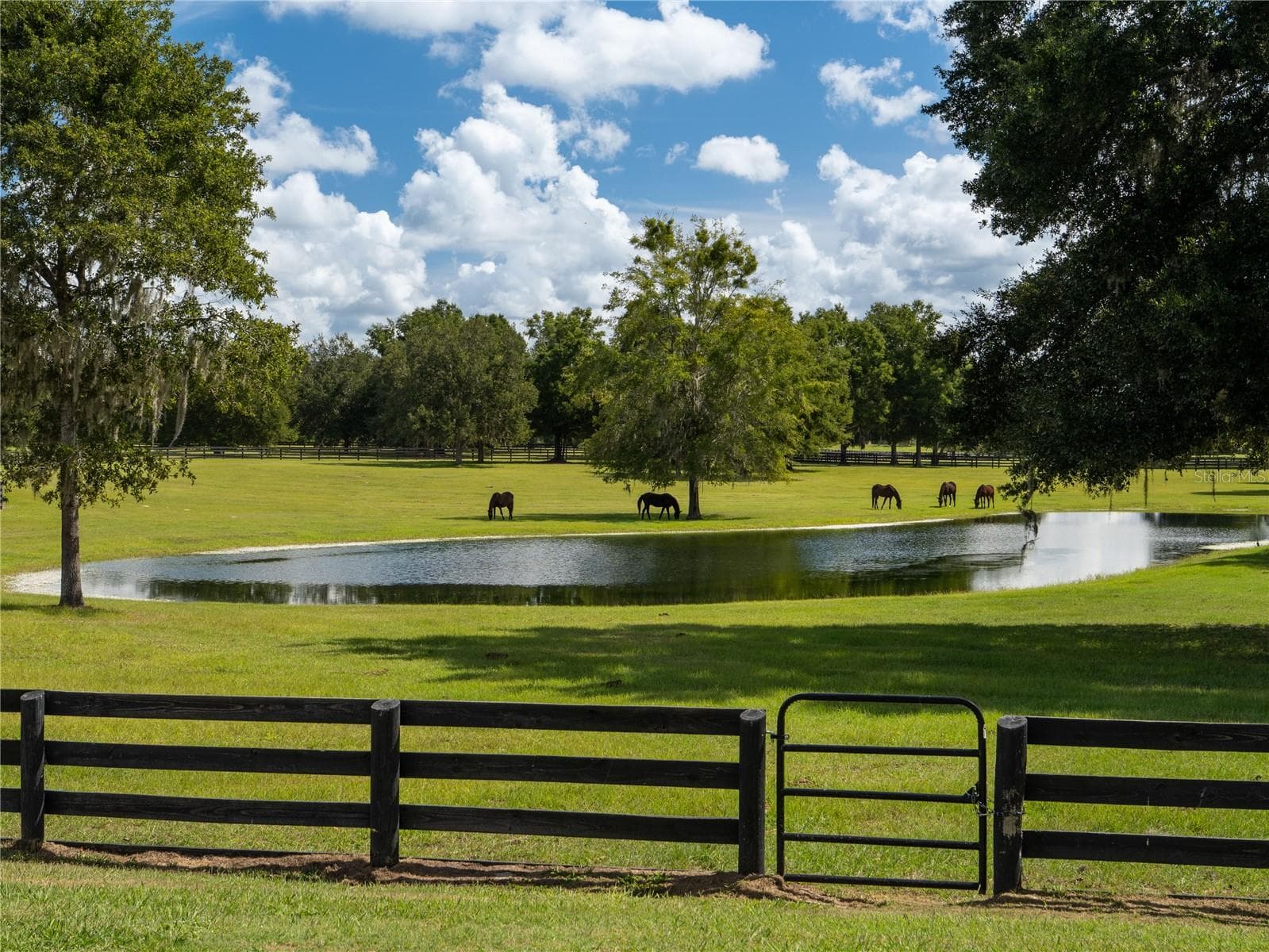 Farm at 2875 NW 150TH AVE, OCALA, photo 5 of 33