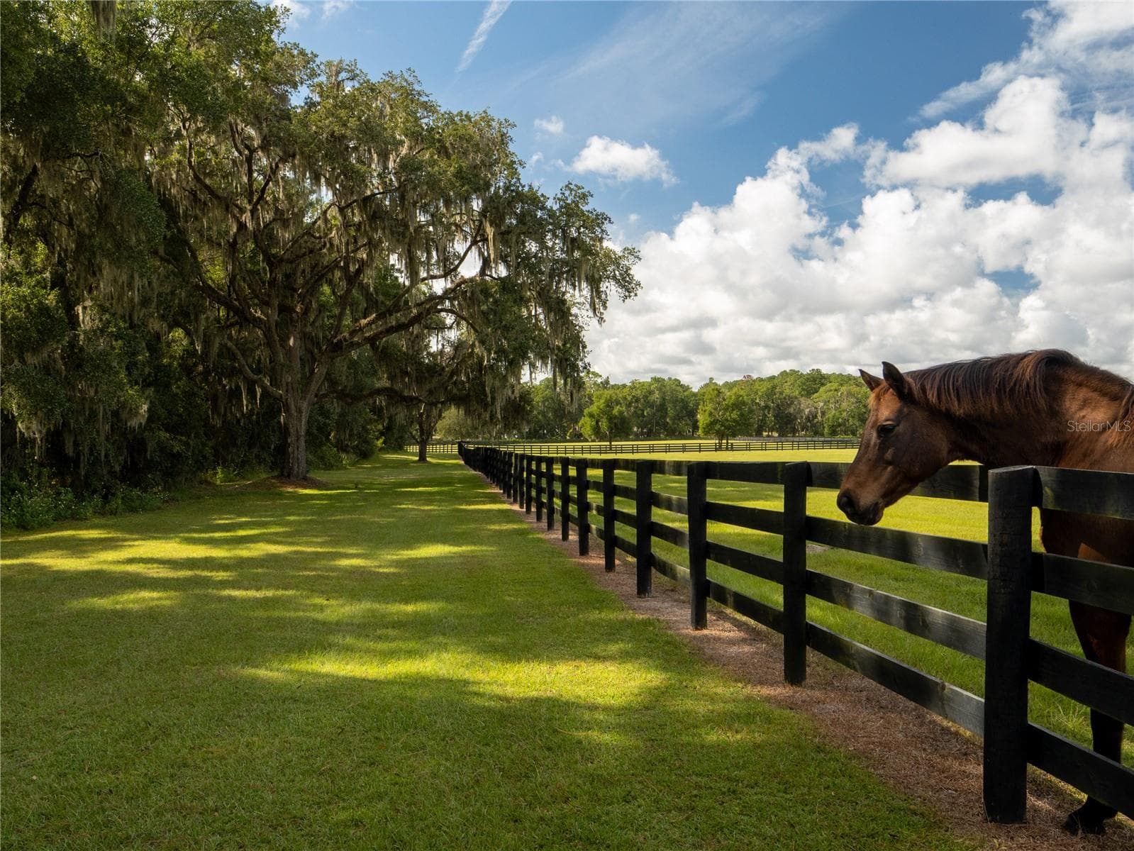Farm at 2875 NW 150TH AVE, OCALA, photo 29 of 33